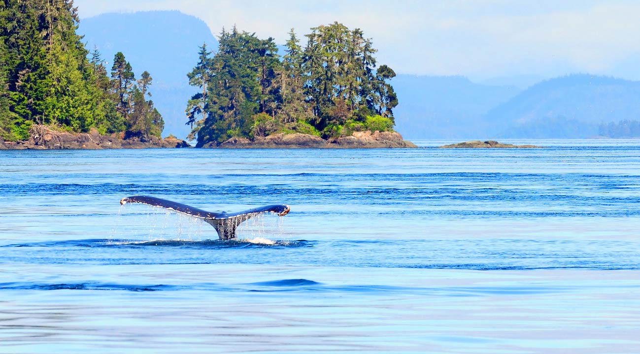 British Columbia tours for women-only