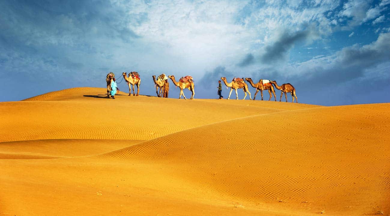 Canyon Calling Womens Travel Tours to Morocco: Photo - Camel riding