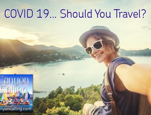 COVID-19: Should You Travel?