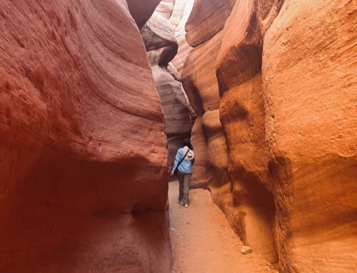 All-Inclusive, Canyon Calling Style: Adventure, Connection, and Zero Hassle