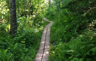 Hike the trails of MN with fellow women travelers and Canyon Calling Getaway Tours