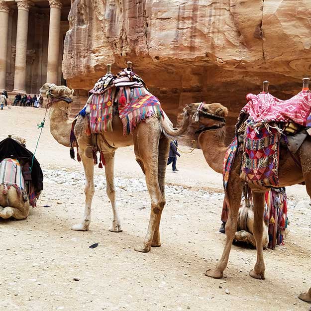 See our NEW women-only trips and travel tours