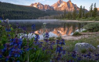 Beautiful sunrise at Stanley Lake in the Sawtooth Mountains of Idaho. Reflection in water with wildflowers