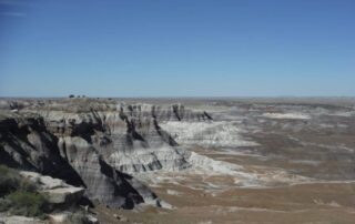 Visit the Petrified Forest National Park with your tribe on a Canyon Calling active vacation