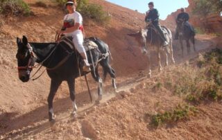 Women riding mules along the red rock trails of Bryce Canyon, UT