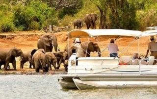 Enjoy a boat cruise with elephants on your next small group women only tour of Uganda with Canyon Calling Adventures
