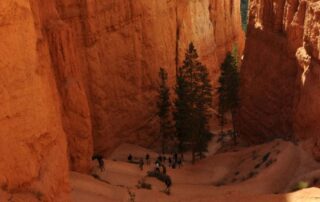 Exploring Bryce National Park in Utah with Canyon Calling - small group tours for women only