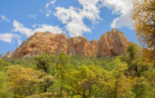 Scenic view of Cave Creek Mountains - Hiking trip for women with Canyon Calling Adventure Tours
