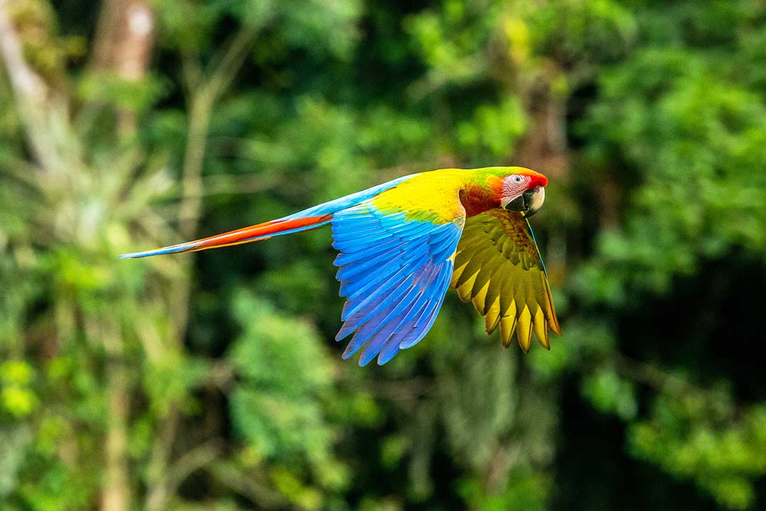 Costa Rica Adventure Travel for Women – Costa Rica Chill Out