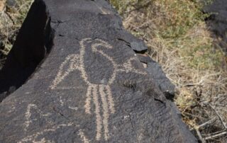 Petroglyph sighting - New Mexico trips for women only