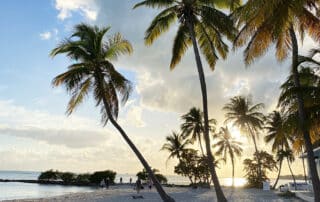 Take a stroll along Key Wests picturesque beaches with fellow women travelers