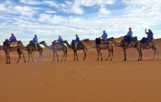 Women camel riding in small groups across the Sahara Desert in Morocco