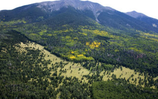 Northern Arizona hiking trips to Mt. Humphrey, Flagstaff for women-only