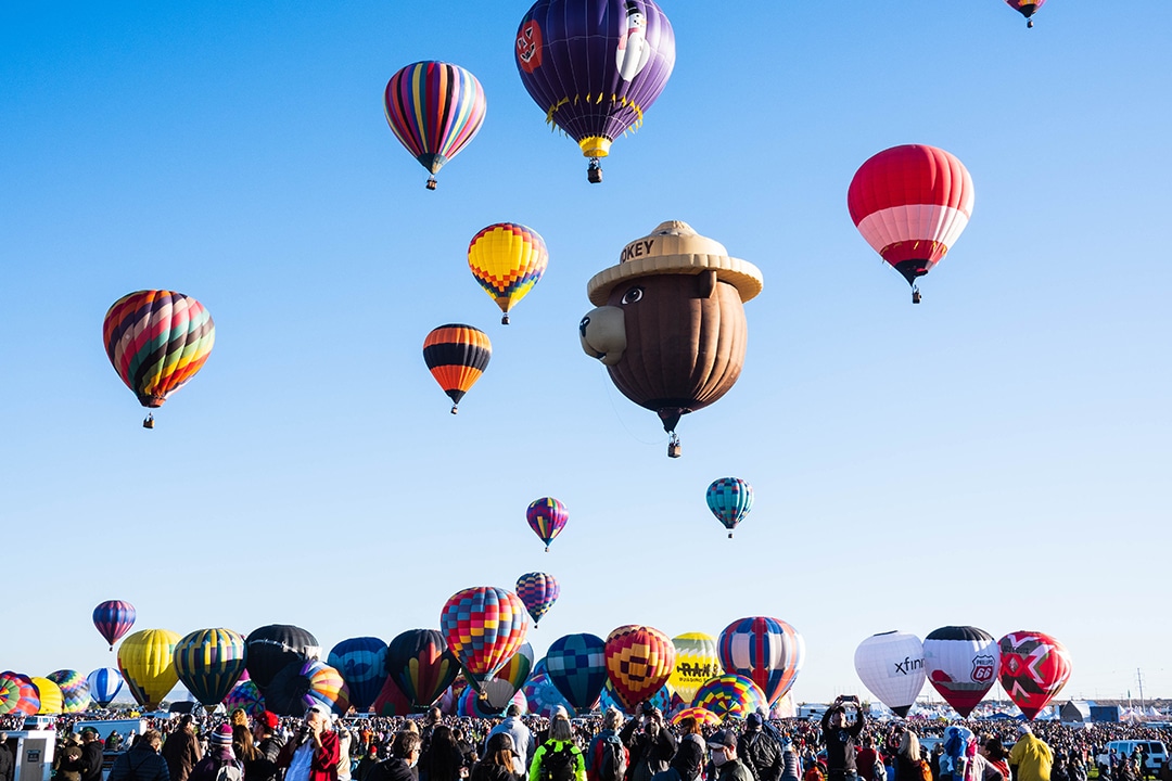 View of New Mexico Balloon Festival: variety of colorful hot air balloons