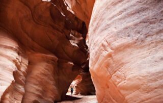 Explore Paria Canyon with Canyon Calling small group tours for women