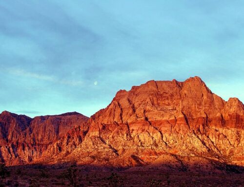 Valley of Fire, Red Rock Canyon & Death Valley: A Women’s Soft Hiking Adventure
