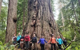 Women hiking the Redwood National and State Parks in Northern California