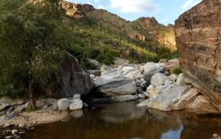 Hike Sabino Canyon, Tucson with fellow women travelers and Canyon Calling tours to Arizona