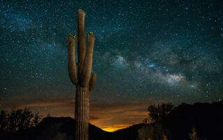 View of Saguaro Cactus and the Milky Way in Tucson, AZ - Women Travel Adventure Tours