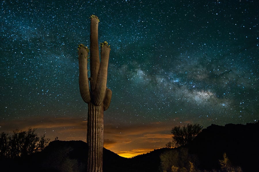 View of Saguaro Cactus and the Milky Way in Tucson, AZ - Women Travel Adventure Tours