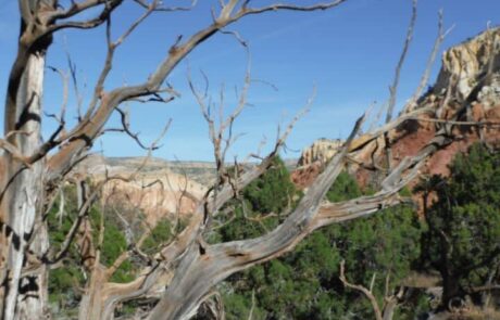 Scenic views of the Northern NM desert landscape - Canyon Calling small group tours to the southwest