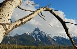 Scenic view of snow-capped mountains in British Columbia