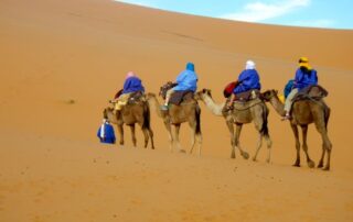 Ride camels in the Sahara with fellow women travelers on active adventures to Morocco with Canyon Calling