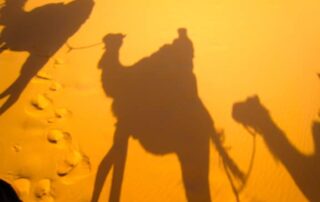 Shadow of camel and rider on the sands of the Sahara - Canyon Calling small group tours to Morocco