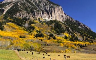 Womens travel tours to beautiful Colorado