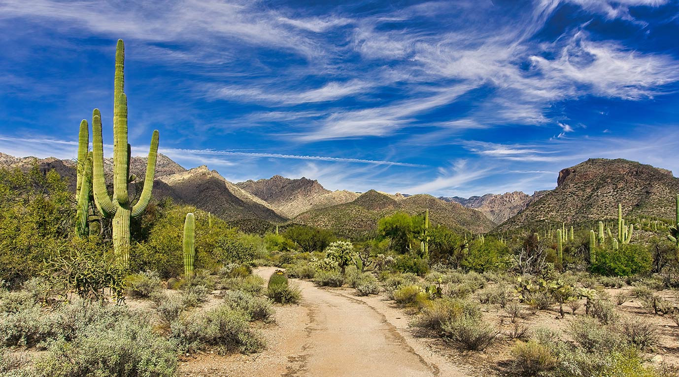 Take an active adventure to Tucson in Southern Arizona with Canyon Calling Tours for women
