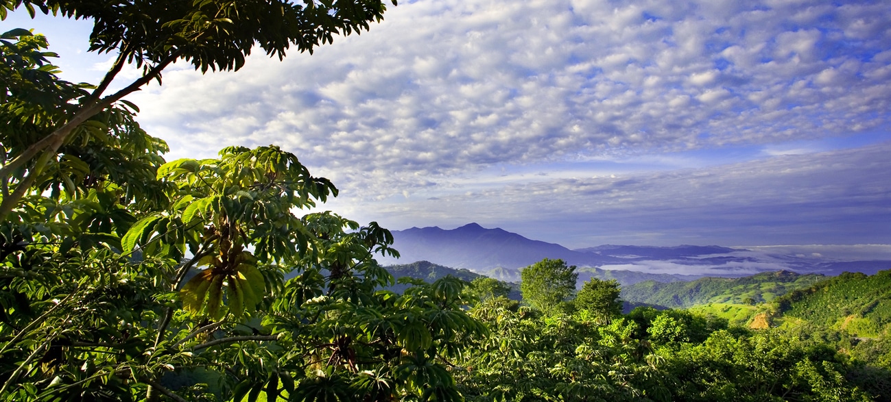 Scenic view of the breathtaking green jungles of Costa Rica, Central America