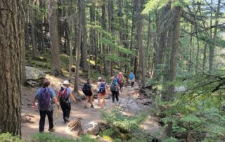 Women exploring Glacier National Park in small groups with Canyon Calling Adventures to Montana