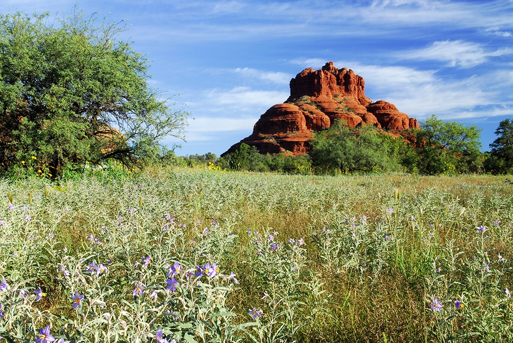 Hike Bell Rock - Northern Arizona trips for women only