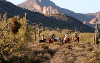 Women horseback riding through the saguaro cacti on a small group trip to Phoenix, Arizona with Canyon Calling