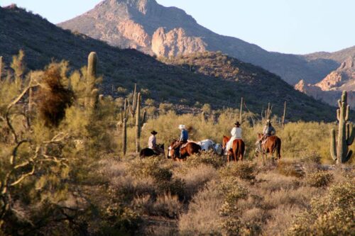 Women horseback riding through the saguaro cacti on a small group trip to Phoenix, Arizona with Canyon Calling