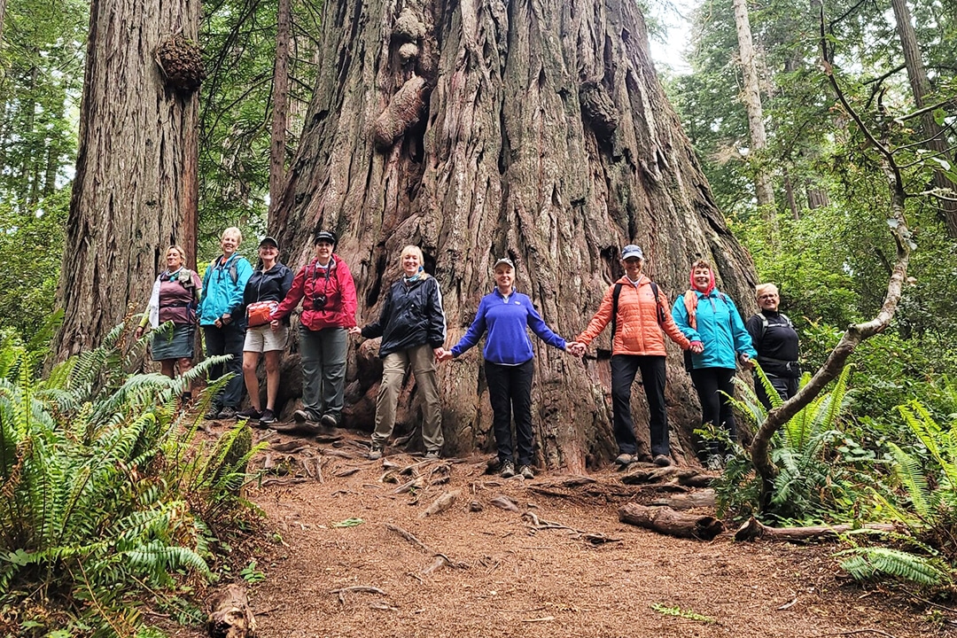 Canyon Calling takes small groups of women to the Rogue River, Crater Lake and Redwoods Parks!