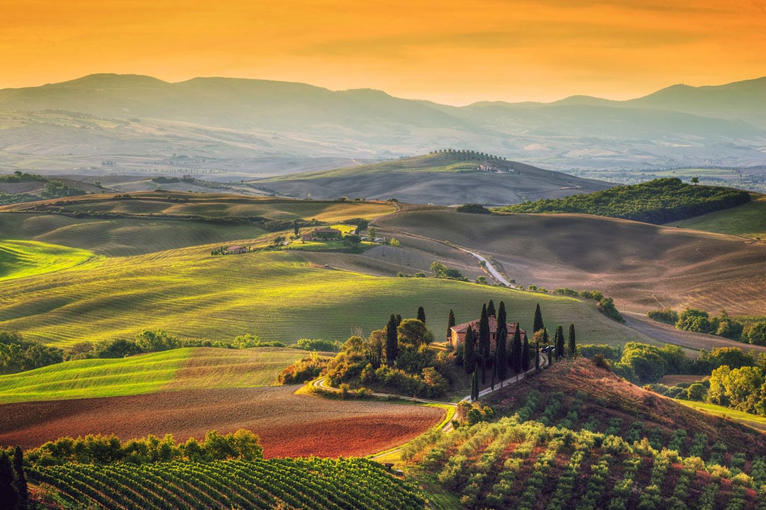 Explore Italian vineyards on a foodie trip to Tuscany with fellow women travelers