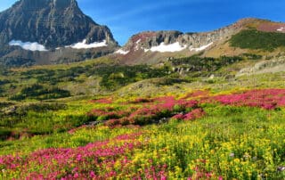 Hidden lake trail along Logan Pass in Glacier National Park, Montana