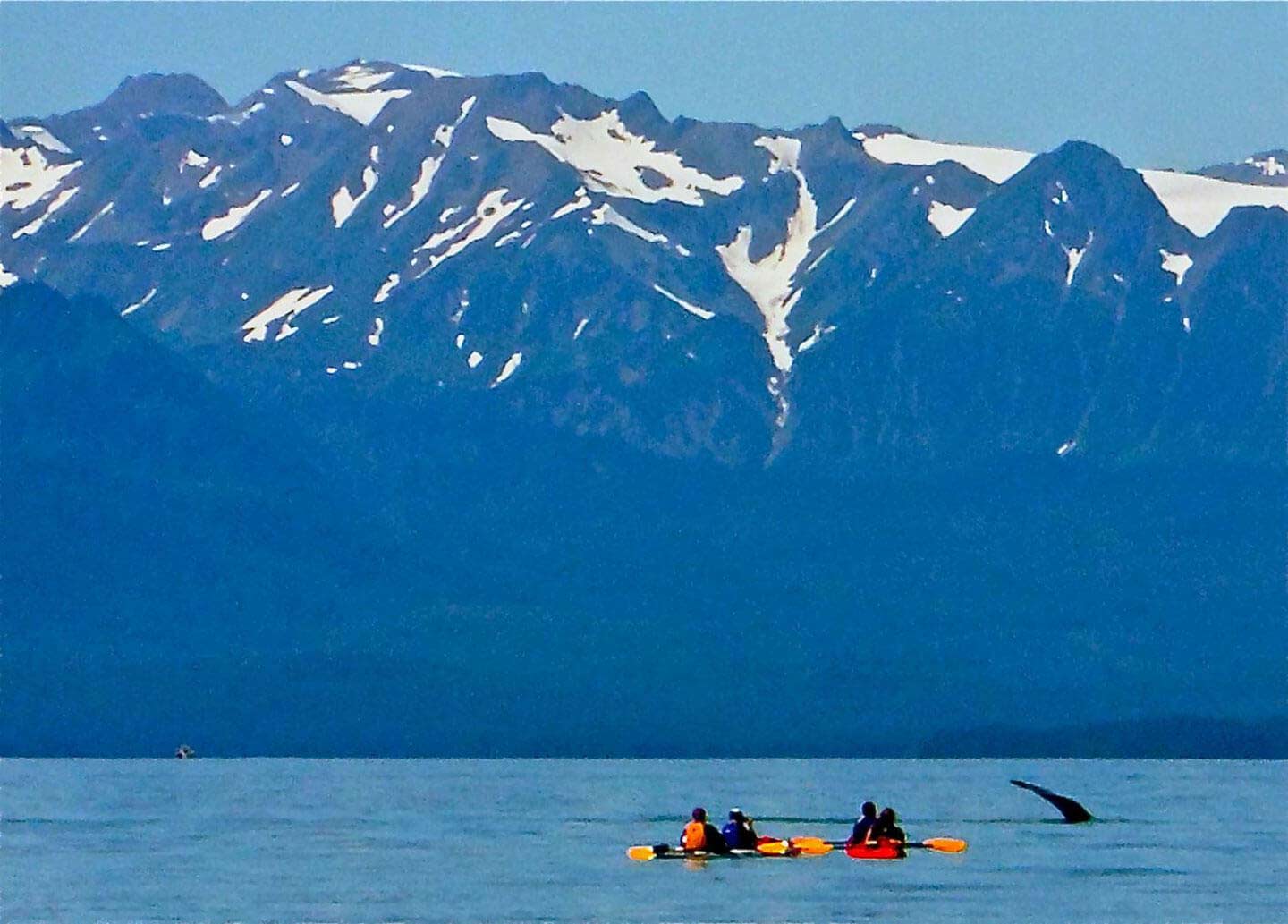 Paddle with the whales in Alaska - Canyon Calling trips for women only