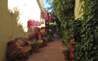 Bunches of dried red chile peppers in Santa Fe - Canyon Calling Adventure Tours