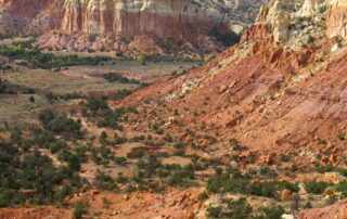 Hike the beautiful red rock country of New Mexico with fellow women travelers