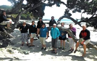 Enjoy the beautiful beaches of New Zealand with fellow women travelers