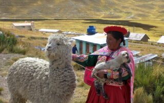 Local dressed in Andean costume petting llama in Peru