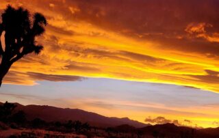 Beautiful sunset over the desert in Palm Springs, CA