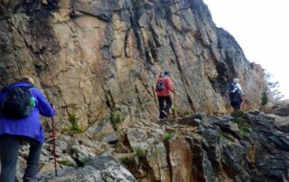 Hiking adventures to Yellowstone and the Tetons with Canyon Calling small group tours for women-only